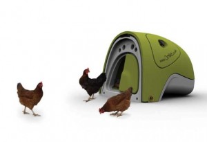 British company Omlet sells cute and practical chicken coops for the urban poultry.